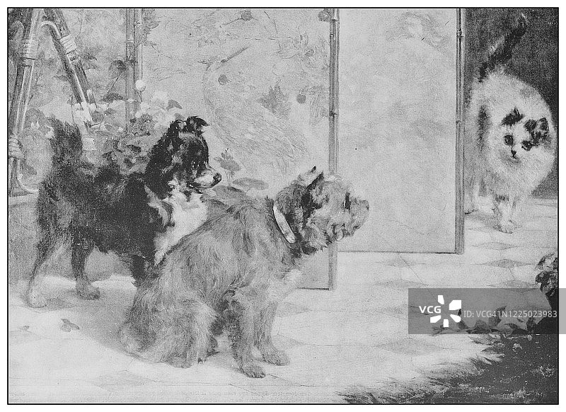 19世纪的古董名画:查尔斯·范德·埃肯的《谁是那个人》图片素材