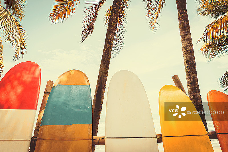 冲浪板和棕榈树与蓝天在海滩的背景。旅游冒险运动和暑假概念图片素材