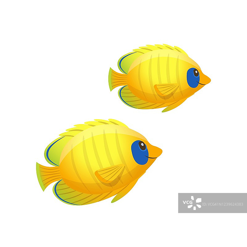 黄蝴蝶鱼图片素材