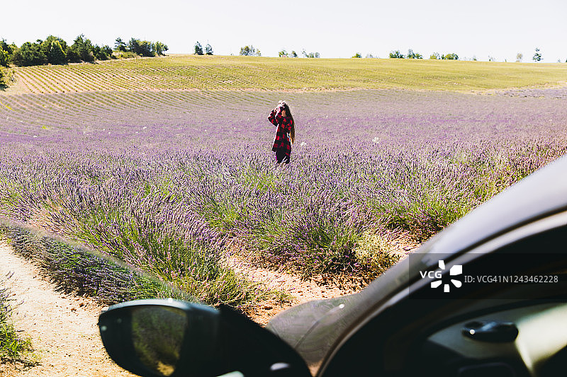 一个女人在法国普罗旺斯的薰衣草田里度过了一个完美的夏日早晨图片素材