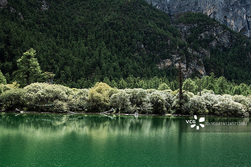 高原白雪皑皑的山脚下是碧绿的湖泊图片素材