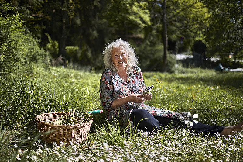 微笑的老妇人坐在草地上，在花园里拿着花图片素材