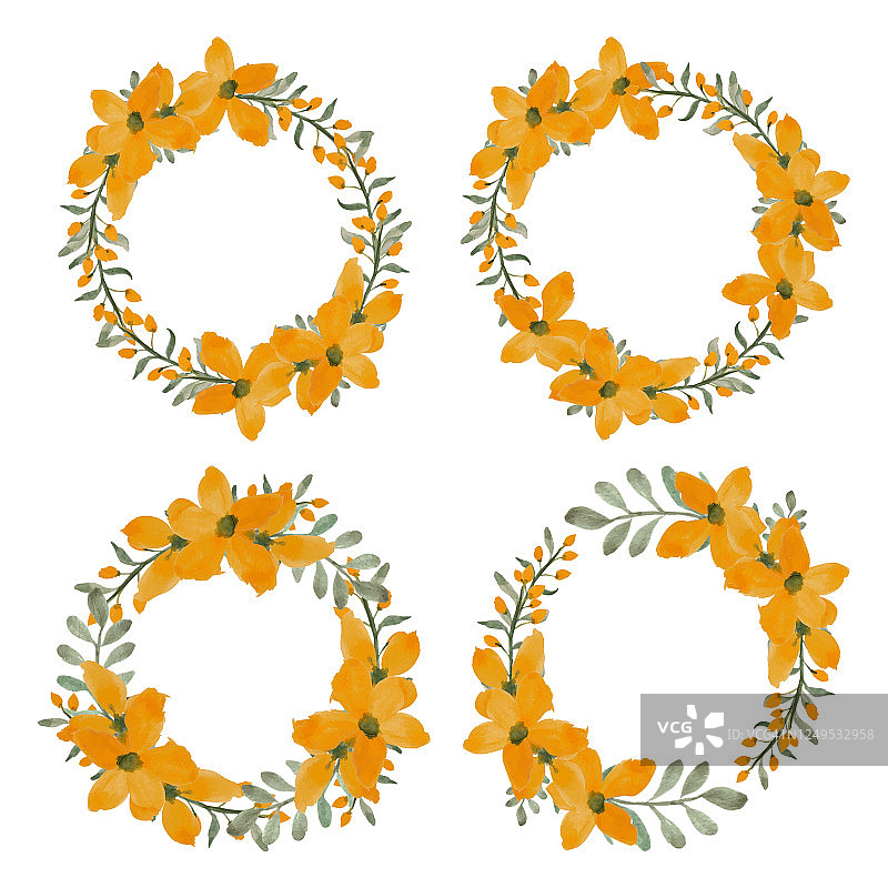 一套水彩黄花瓣花圆框图片素材