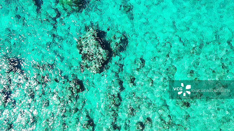 和平的海底模式，珊瑚礁生长在白色的沙滩上，在平静的海水下，靠近加勒比海的沙质海岸线图片素材