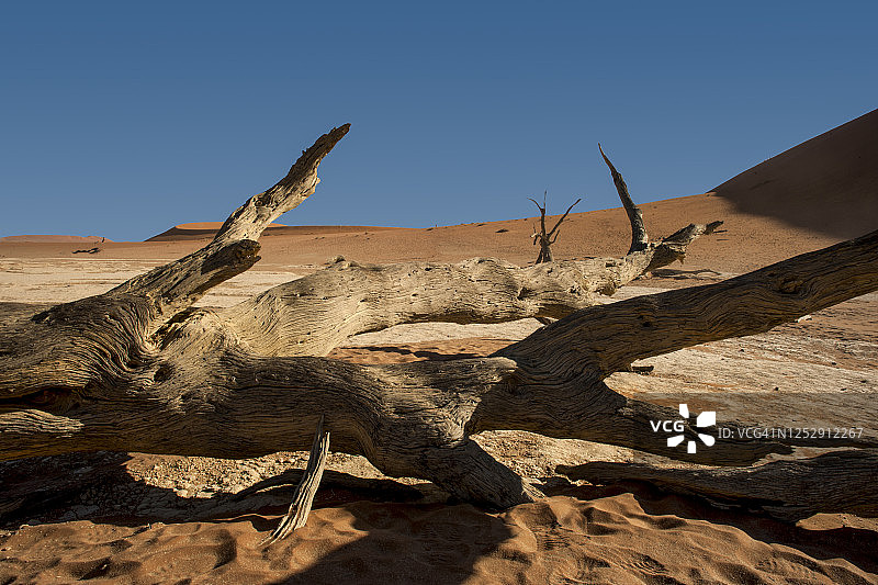 纳米比亚沙漠风景优美，有枯树图片素材