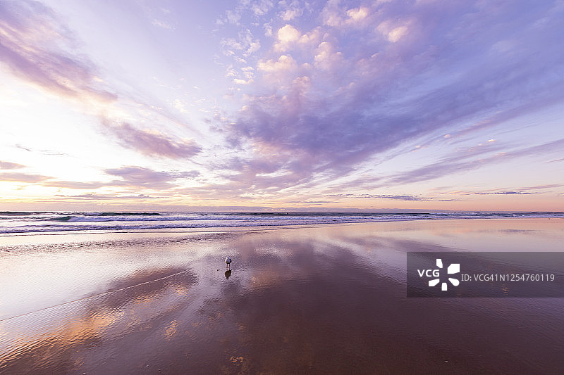 色彩鲜艳的日出在海洋上与云朵反射在沙滩上和一只孤独的海鸥图片素材