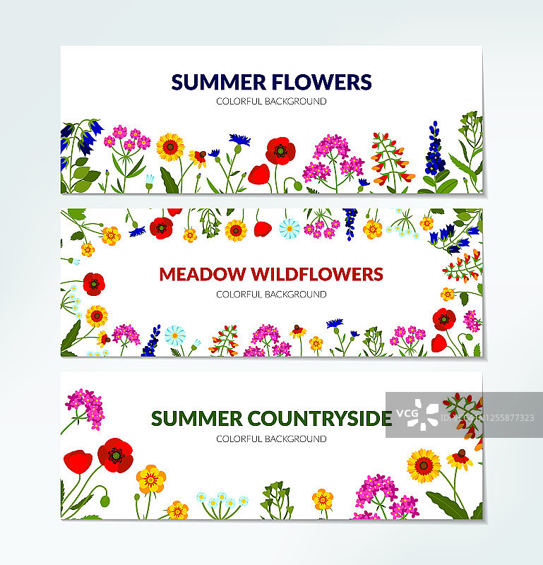 一套水平的夏季横幅与野花，包括蓍草，紫锥菊，罂粟，金鱼草，女士的钱包。矢量图图片素材