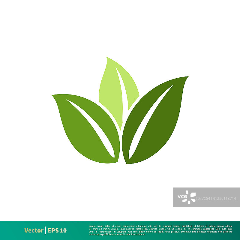 大自然绿叶图标矢量标志模板插图设计EPS 10。图片素材