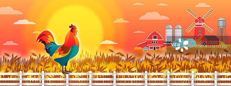 有机农场景观有麦田，栅栏上的公鸡，红磨坊，升起的太阳，村庄的房子。图片素材