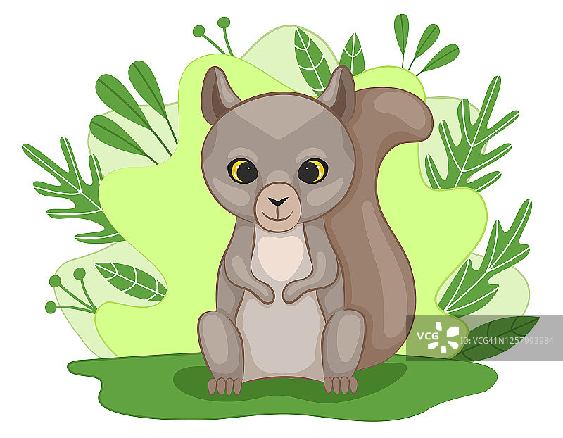 森林空地上可爱的小松鼠崽。绿色的背景与树叶和植物。图片素材