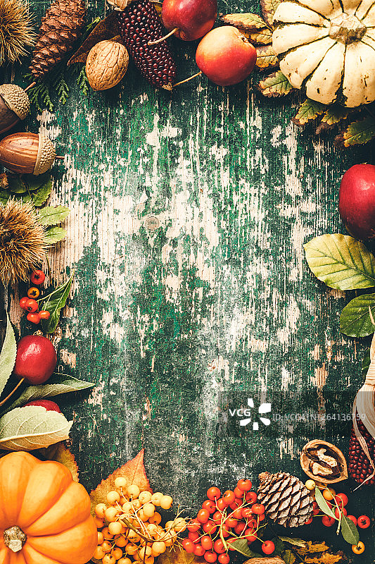 秋天的背景，秋天和万圣节的概念，文字空间图片素材