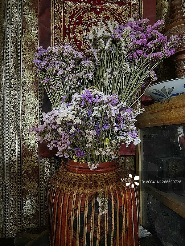 白色和紫色的斯塔斯特花。图片素材