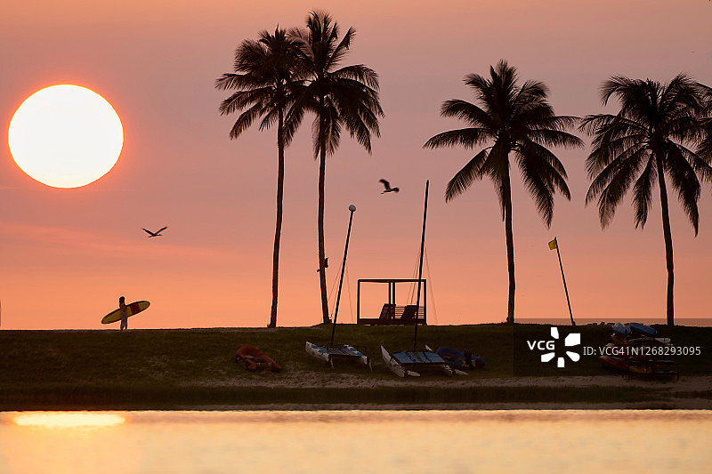 剪影美丽的女孩与冲浪板，而日落在海滩上的棕榈树在普吉岛，泰国。图片素材
