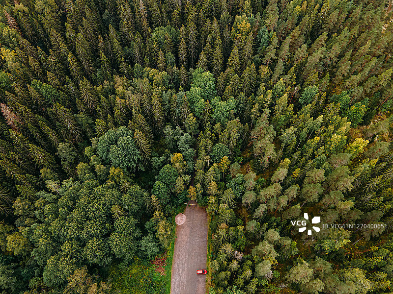 鸟瞰图秋天经典的芬兰风景努克西奥国家公园图片素材