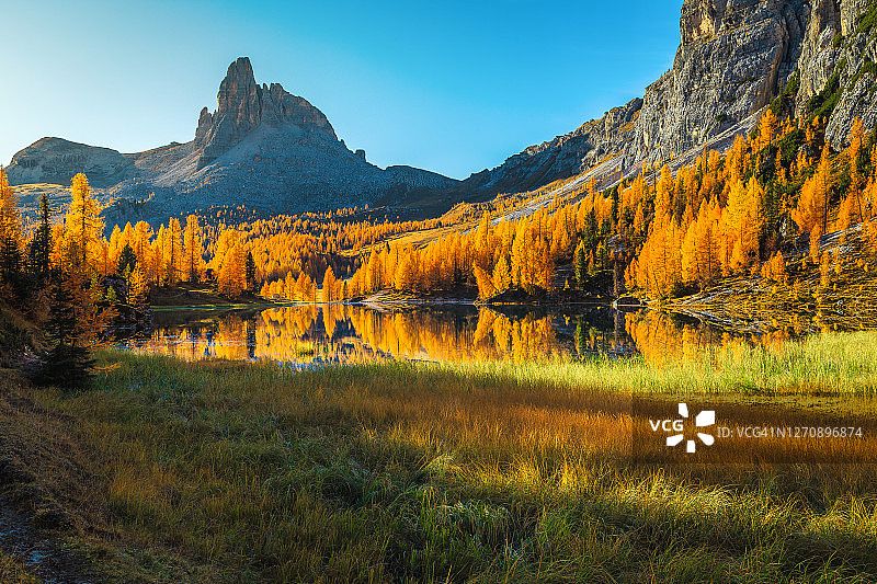 意大利Dolomites色彩斑斓的秋季落叶松森林和Federa湖图片素材
