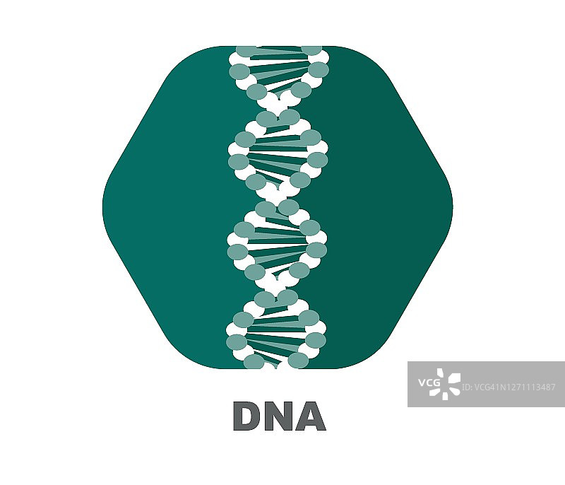 DNA染色体，标志向量设计元素图片素材