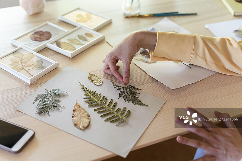 一名年轻女子的手在桌子的硬纸板上整理干树叶图片素材