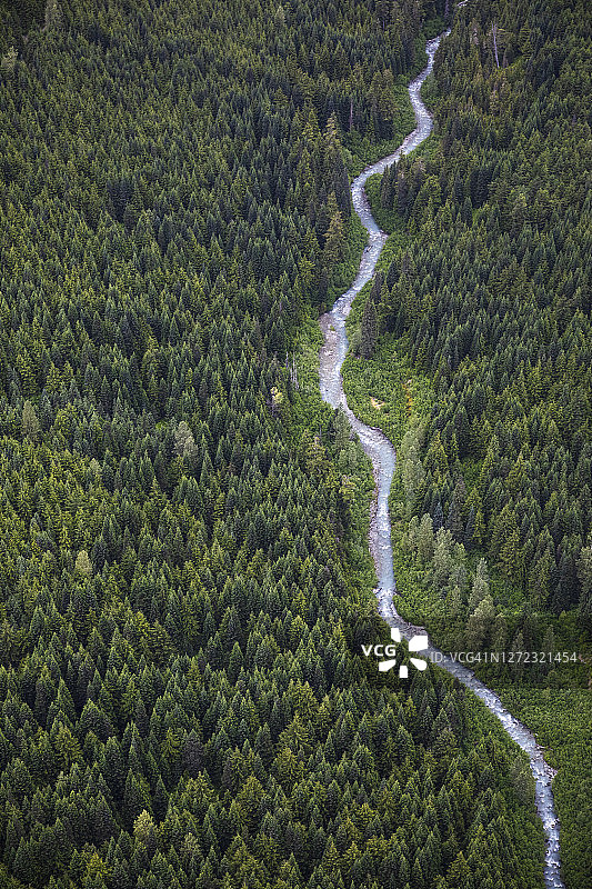 鸟瞰茂密的针叶林和弯曲的河流位于乡村的惠斯勒黑梳滑雪场图片素材