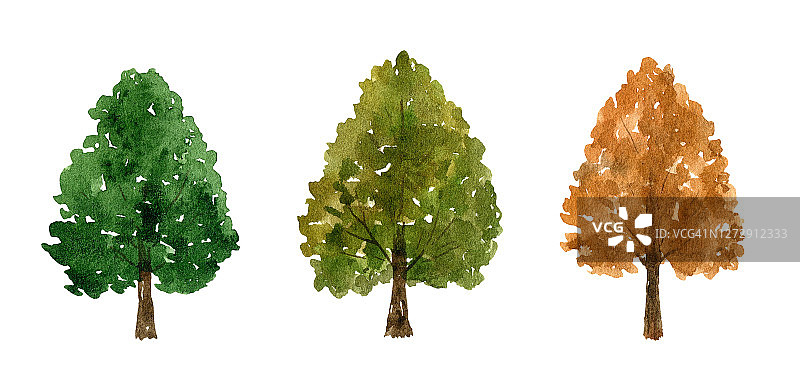 一套秋天的树与绿色和金色的叶子孤立在白色的背景图片素材