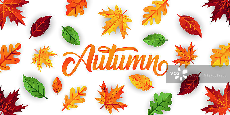 秋天背景向量与装饰的叶子。秋天的秋天矢量背景模板。秋天的背景设计模板为广告，海报，横幅，传单，邀请，网站或贺卡图片素材