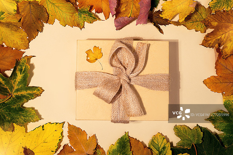 彩绘秋叶背景的边框礼盒。图片素材