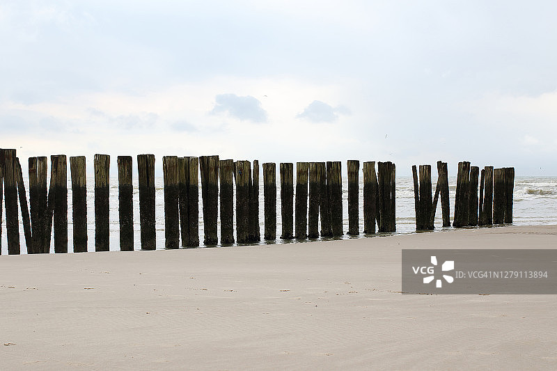 用木杆做成的格栅，用来保护海滩图片素材