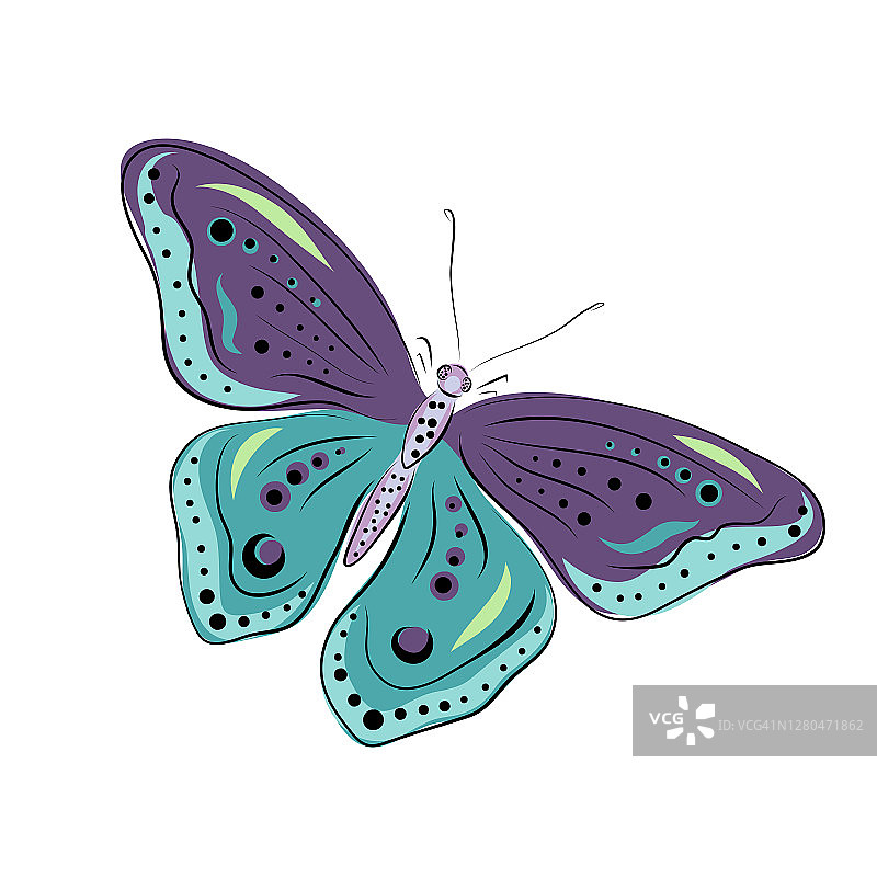 手绘飞蛾和蝴蝶。彩色矢量图。淡紫色、紫色、粉红色、青色和绿松石色，带有黑色的线条和圆点。孤立的元素图片素材