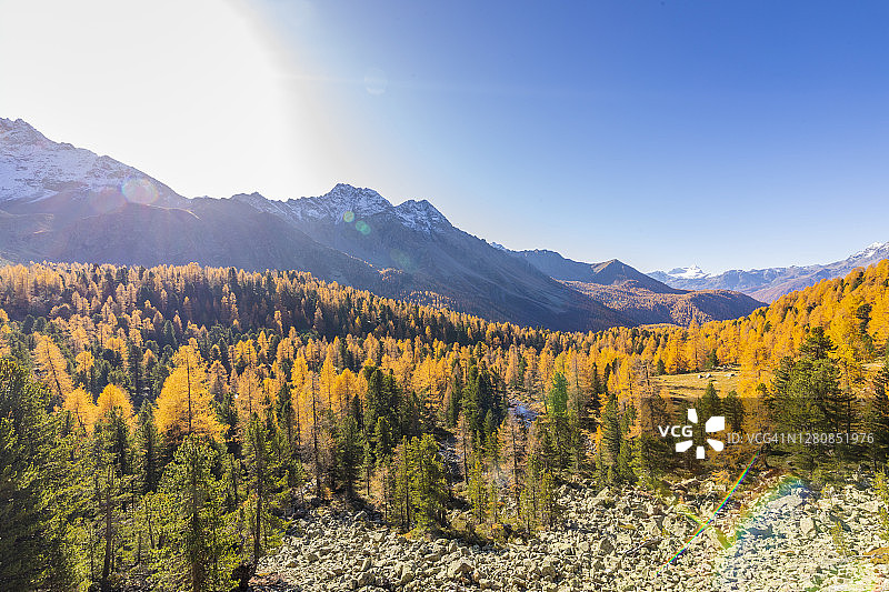 迷人和多彩的秋天山坡周围的绍苏湖，波斯恰沃，瓦尔迪坎波，格劳宾登州，欧洲瑞士图片素材