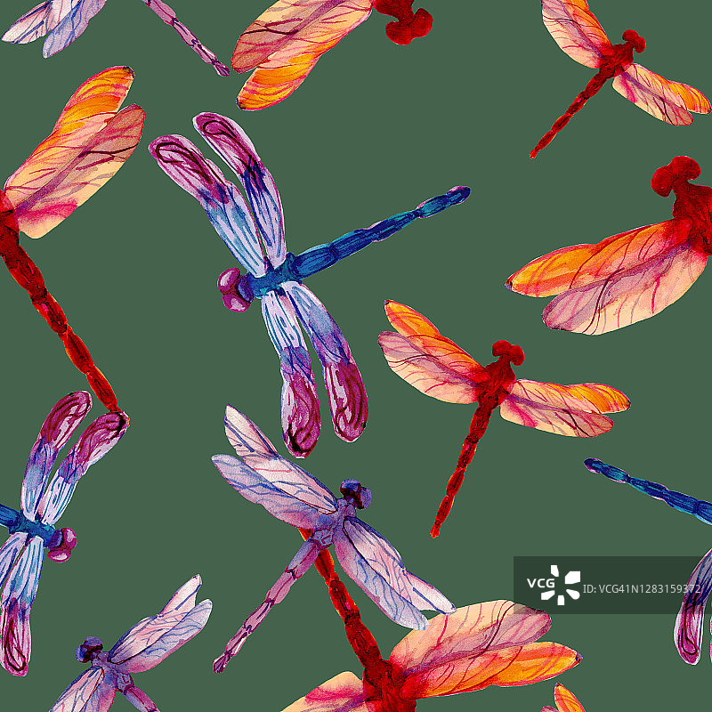 水彩手画不同颜色的蜻蜓无缝图案图片素材