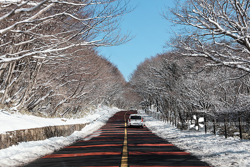雪冬天的山路，在一个阳光明媚的日子，行驶在路上，济州岛在韩国图片素材
