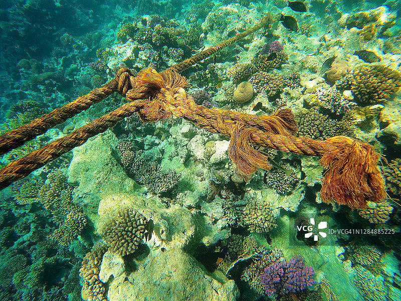 绳索锚在红海珊瑚，马卡迪海滩，埃及。图片素材