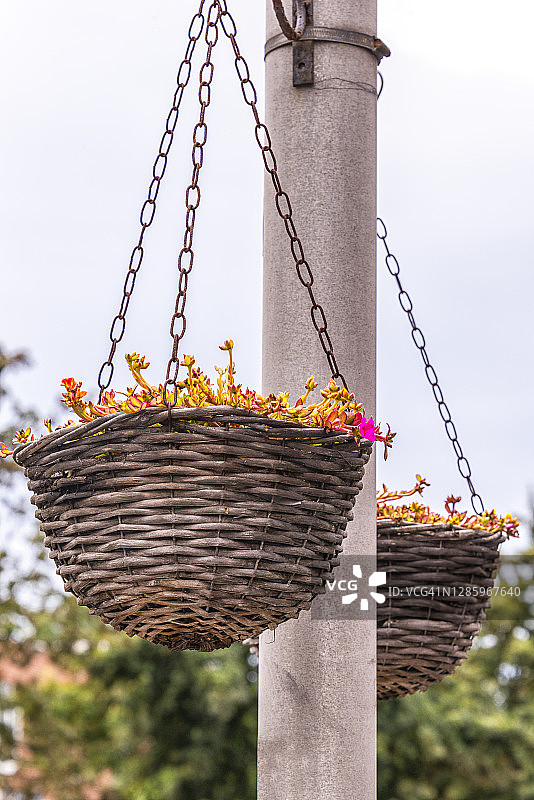 两个装满鲜花的柳条篮子用钢链吊在杆子上图片素材