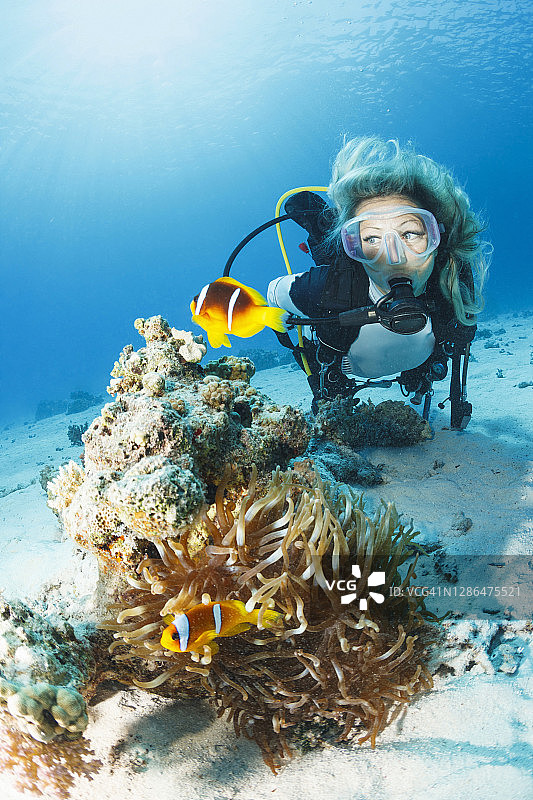 海葵小丑鱼水下海洋生物珊瑚礁水下照片水肺潜水员的观点。金发女人潜水的背景。图片素材