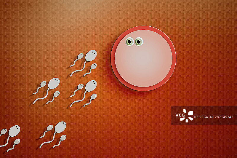 准备与卵子受精的精子细胞图片素材