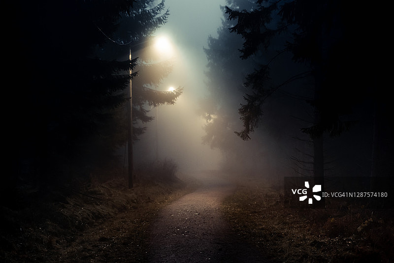 黑暗而雾蒙蒙的森林里的一条土路图片素材