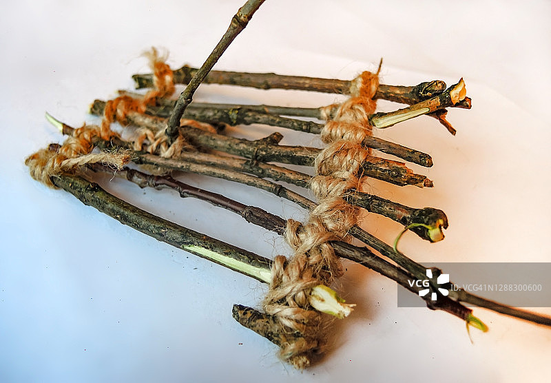 儿童工艺品——一排细树枝和麻绳，特写照片图片素材