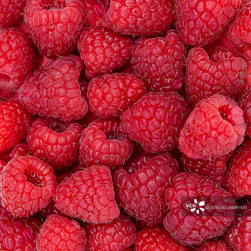 红色新鲜树莓图片素材