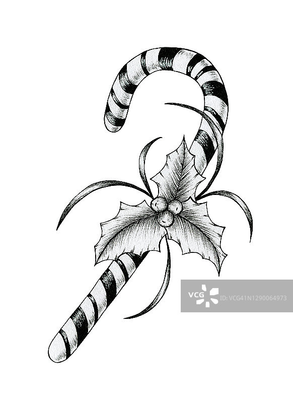 圣诞糖果藤素描孤立白色，复古圣诞糖果藤装饰冬青和浆果，黑色和白色圣诞装饰图片素材