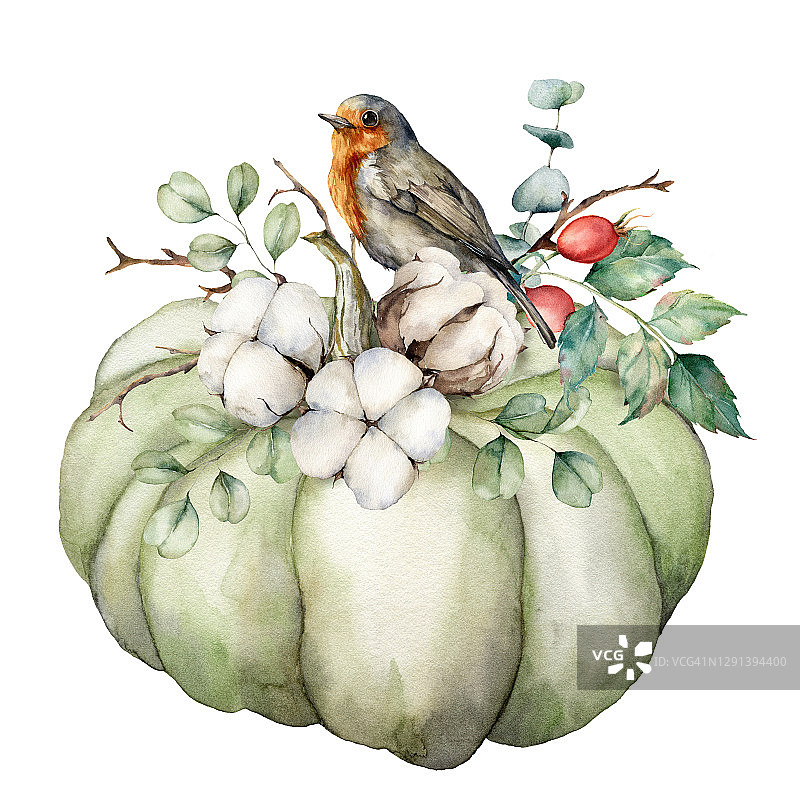 水彩画卡与罗宾红胸棉，南瓜和桉树叶。手绘的鸟和葫芦孤立在白色的背景上。花卉插图设计，印刷，织物或背景。图片素材