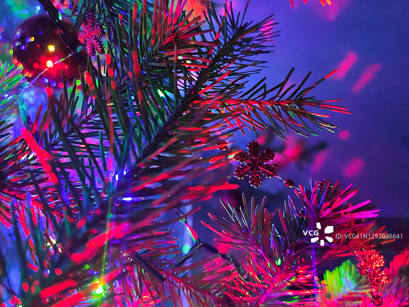 圣诞树的树枝与装饰和花环靠近图片素材