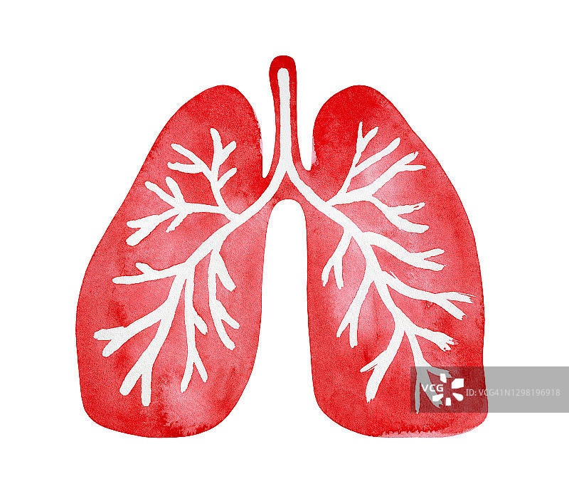水彩插图程式化的人的肺。象征呼吸系统、生命、活力、呼吸。手绘水彩素描，裁剪剪贴设计、徽章、标志等艺术元素。图片素材