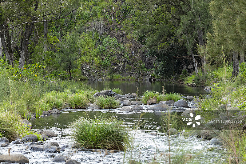 流淌的小溪，绿树，岩石，灌木丛和阳光透过树木图片素材