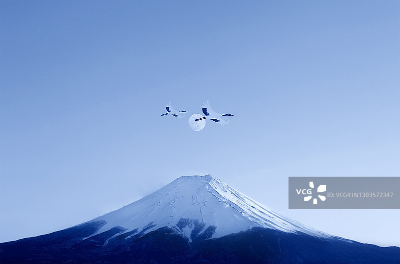 合成图像:雪山和飞行中的鸟。图片素材