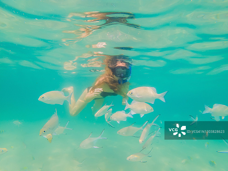 快乐的女人在浮潜面具潜水与热带鱼在珊瑚礁海池。旅行生活方式，水上运动户外冒险，游泳课程在夏季海滩度假图片素材