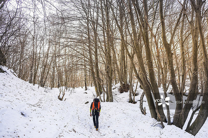 成熟的男人在白雪覆盖的森林里徒步旅行图片素材