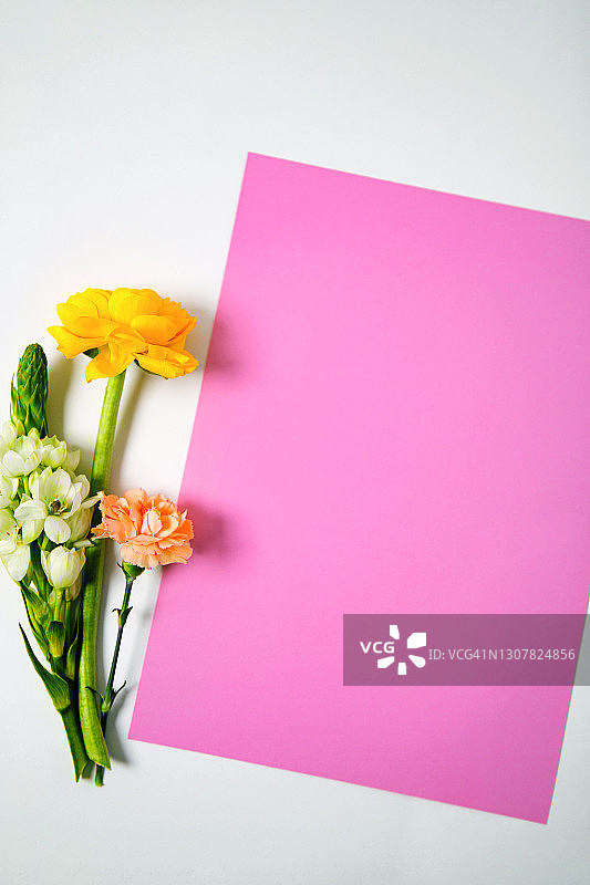 粉红色的空白和花在白色的背景。图片素材