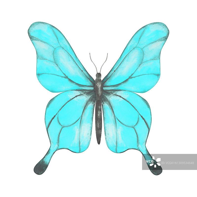 蝴蝶剪纸艺术。蓝色水彩蝴蝶孤立在白色的背景。手绘的异国情调的昆虫为您的设计。彩色标志或纹身设计。图片素材