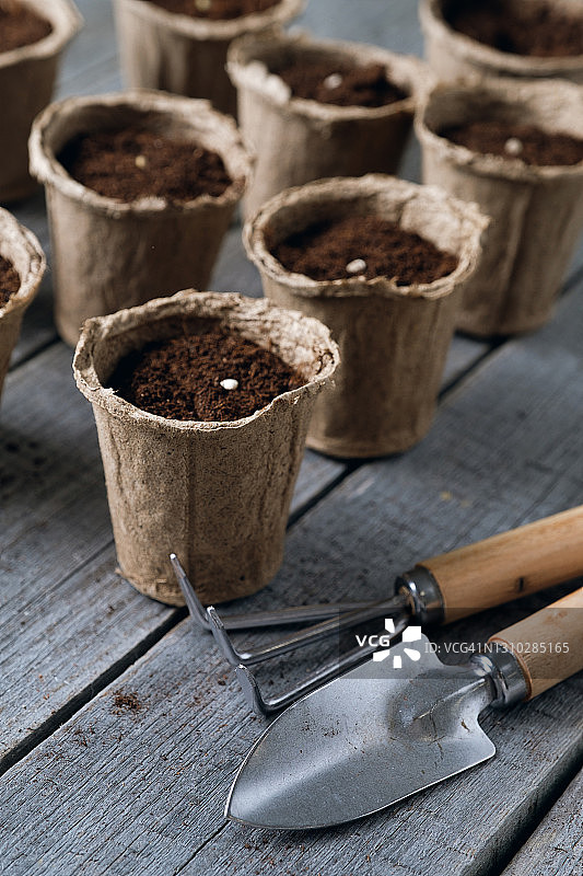 种子被放置在装满土壤或黑钙土的泥炭盆里。园艺工具，一个小铲子，一个耙子。在木桌的背景上种植和播种鲜花、植物或蔬菜。种植有机农产品。空间的副本。图片素材
