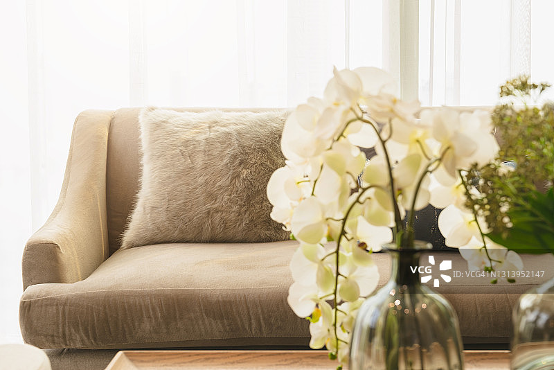 柔软舒适的米色枕头上现代沙发与壁纸墙罩背景家居设计理念图片素材