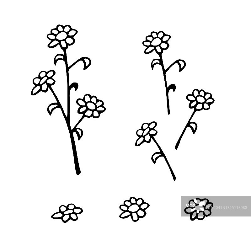 一套手绘抽象花枝。黑白风格化植物元素的设计孤立在白色背景。矢量插图涂鸦风格图片素材